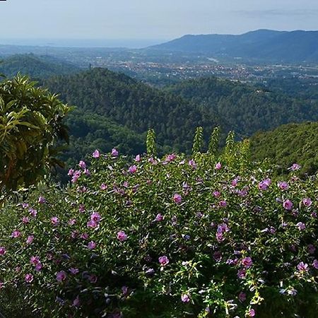 Il Viandante Bed & Breakfast Santo Stefano di Magra Ngoại thất bức ảnh